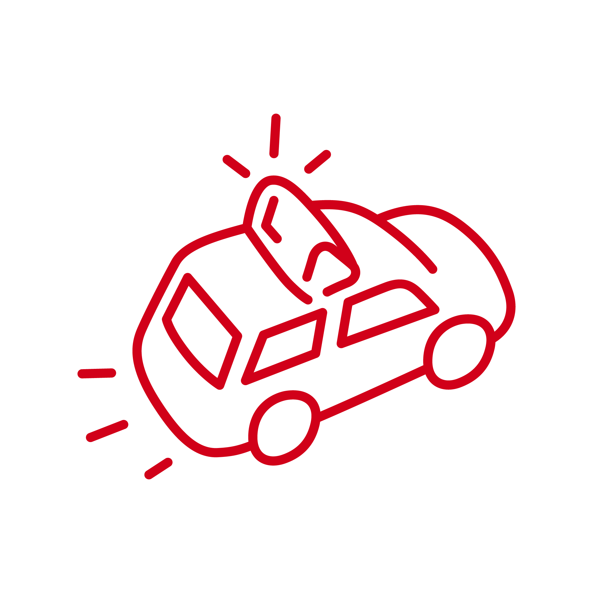 Ir a la página sobre la información del carnet de coche